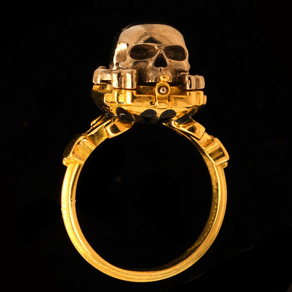 Eternal Embrace Ring